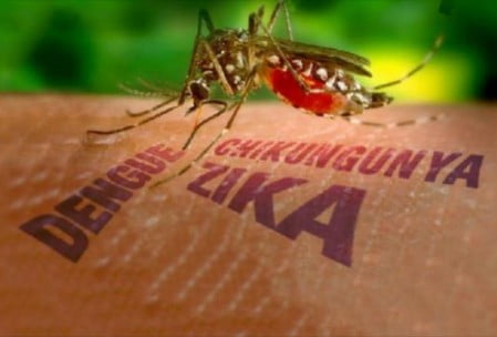 zika-virus-danger