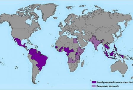 virus -zika-nyamuk