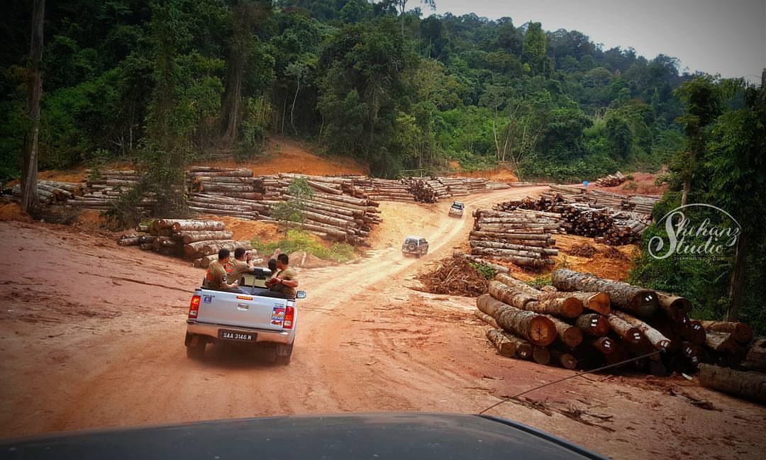 han-rainforest-resort-taman-negara