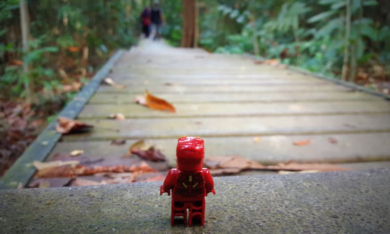 han-rainforest-resort-taman-negara-Jungle-Trekking-Bukit-Terisek