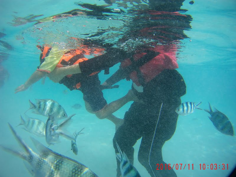 trip-perhentian-perhentian-kecil-kg-nelayan-snorkeling-windmill (25)