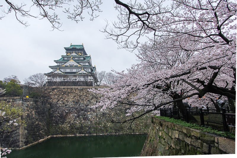japanbudgettrip-pakej-murah-tokyo-Osaka-Castle-Sakura