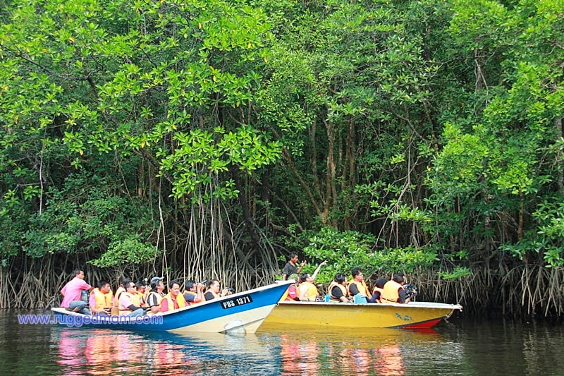 cherating-hotel-dan-5-aktiviti-menarik-di-sekitarnya-ruggedmom