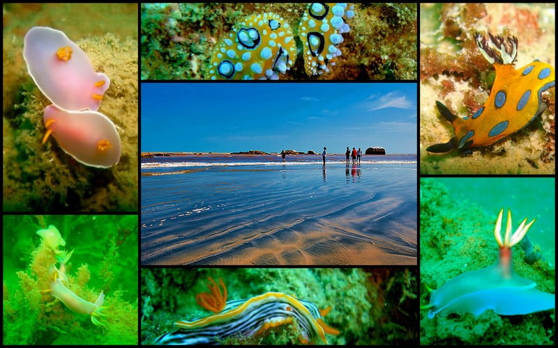 cherating-hotel-dan-5-aktiviti-menarik-di-sekitarnya-scuba-diving-pantai-balok2
