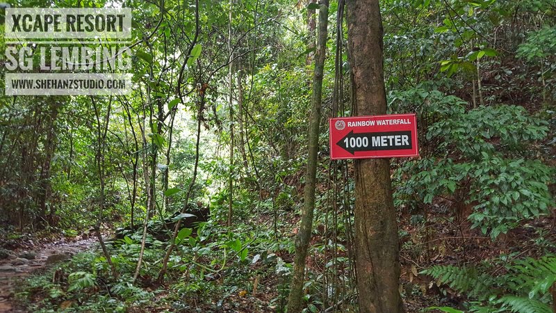 xcape-resort-sg-lembing-lokasi-sesuai-untuk-teambuilding-penuh-aktiviti-lasak