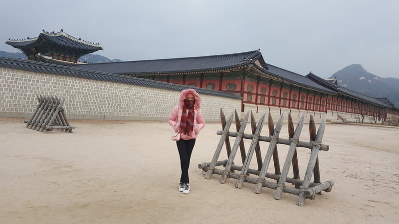 KOREA TRIP GYEONGBOKGUNG PALACE, LOVE LOCKS N SEOUL TOWER, NAMDAEMUN MARKET, MYEONG-DONG (192)