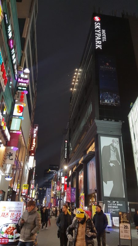 KOREA TRIP GYEONGBOKGUNG PALACE, LOVE LOCKS N SEOUL TOWER, NAMDAEMUN MARKET, MYEONG-DONG (474)