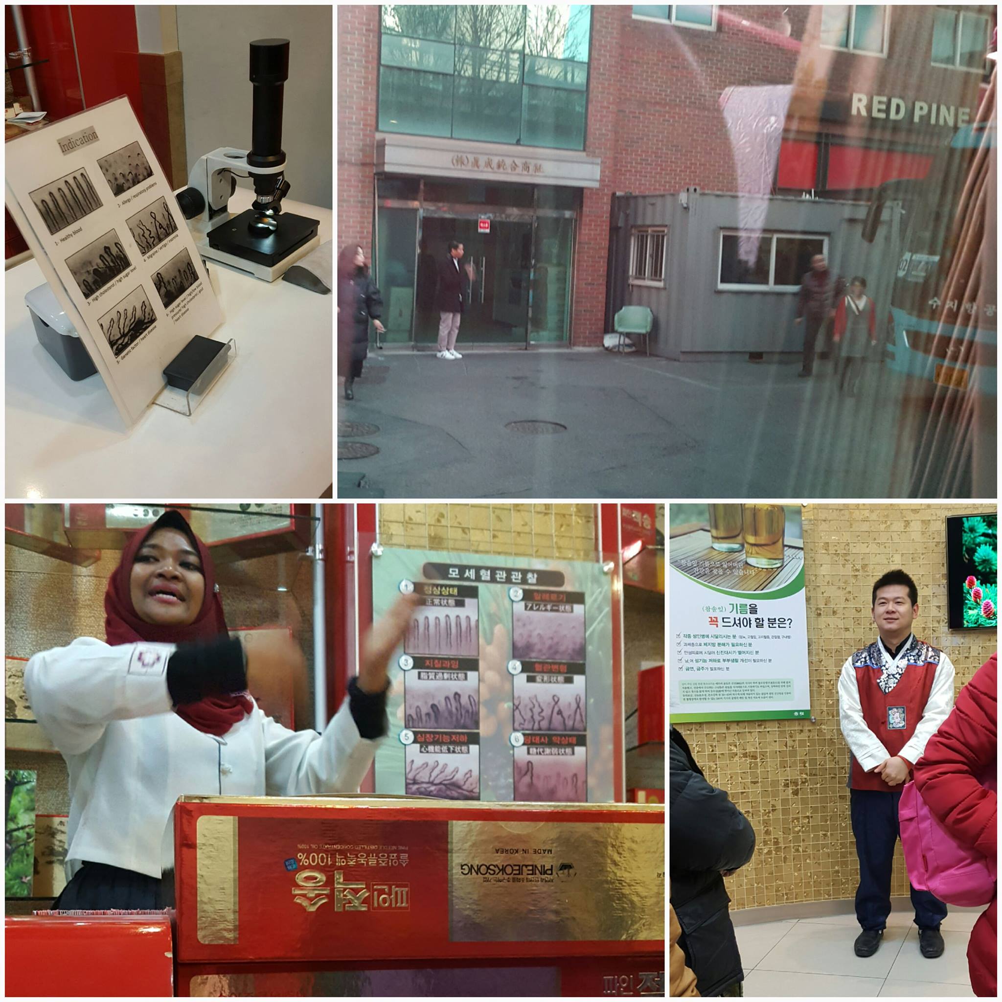 KOREA TRIP, RED PINE, JEIL AMETHYST (2)