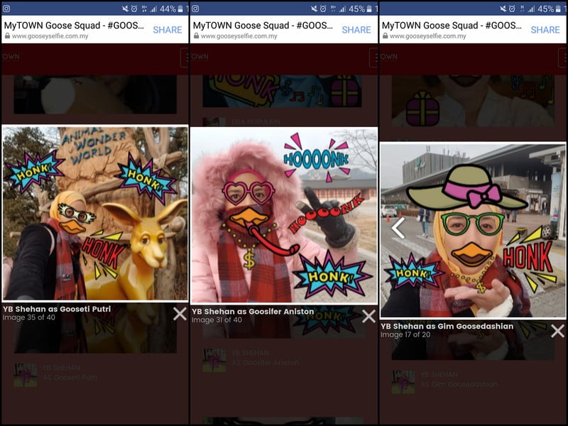 gooseyselfie contest by mytown (9)