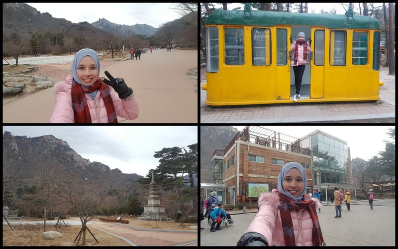korea trip_day 2_teddy bear museum mt soerak_soeraksan national park_vivaldi ski park