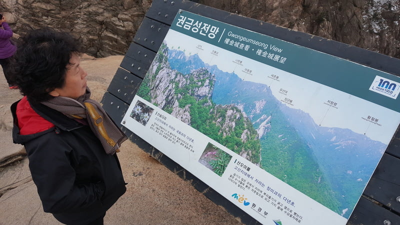 korea trip_day 2_teddy bear museum mt soerak_soeraksan national park_vivaldi ski park