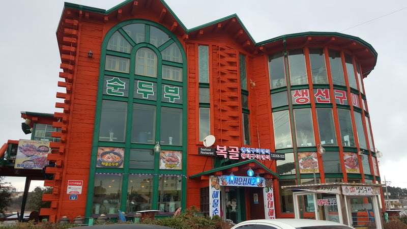 korea trip_day 2_teddy bear museum mt soerak_soeraksan national park_vivaldi ski park (66)