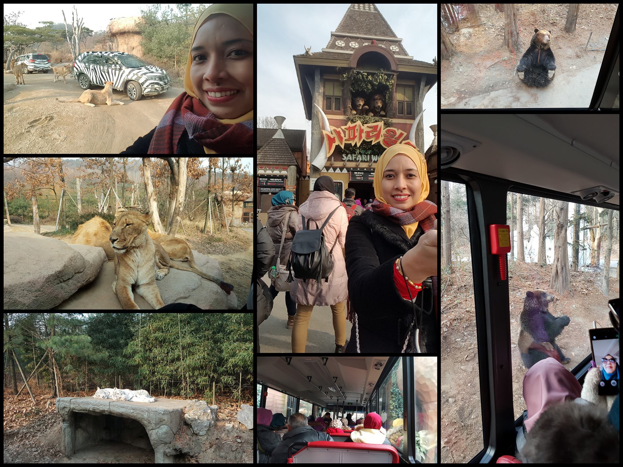 korea trip_day 3_strawberry farm_diy kimchi_hanbok_everland theme park