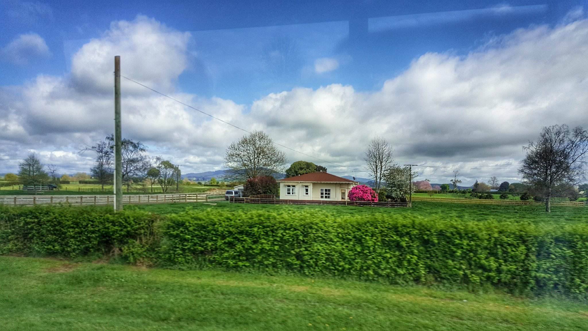 KEMBARA KBBA9 COSMODERM - IKHLAS TOURS KE NEW ZEALAND HOBBITON MOVIE SET, MATAMATA (9)