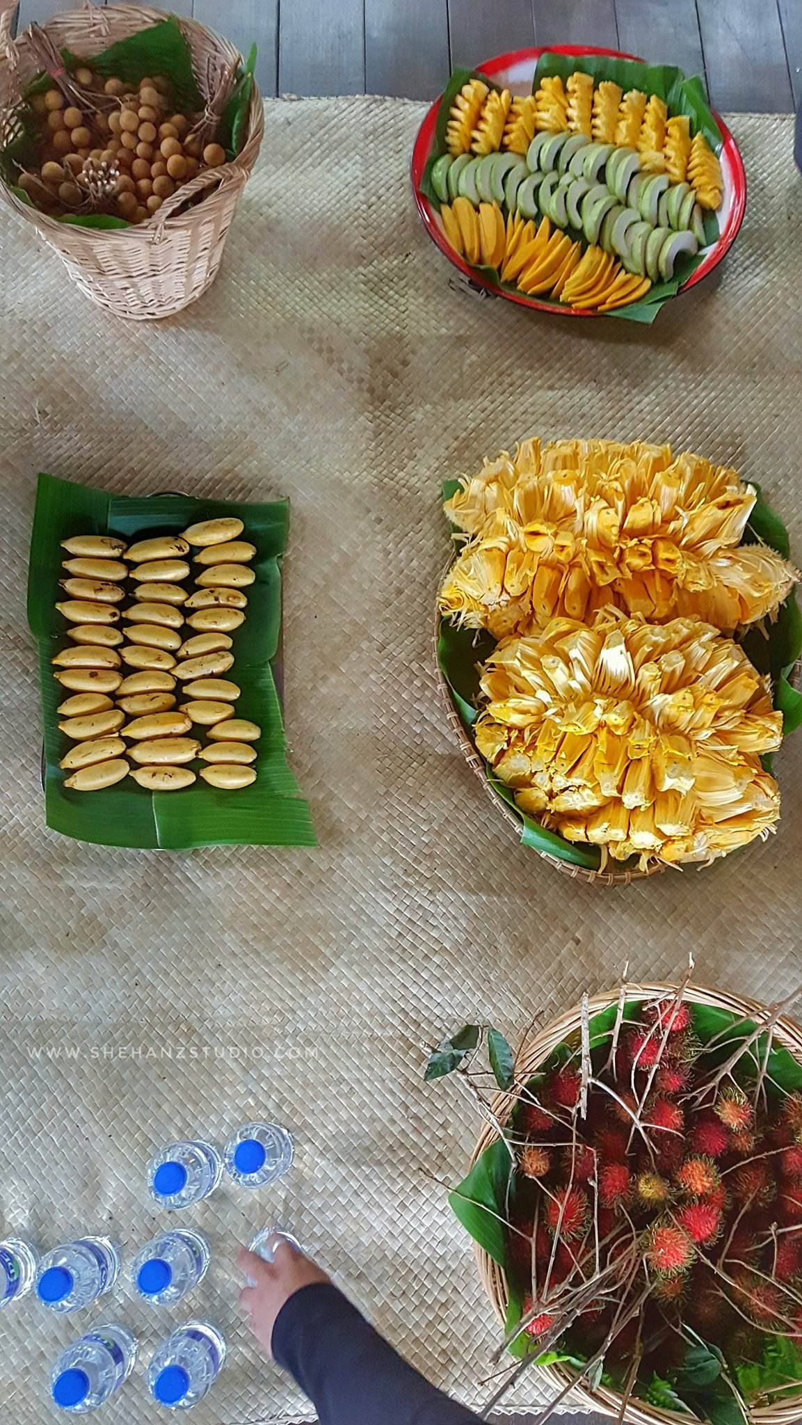 DUSUN DALAM BANDAR - DUSUN TAMAN WARISAN PERTANIAN PUTRAJAYA (30)