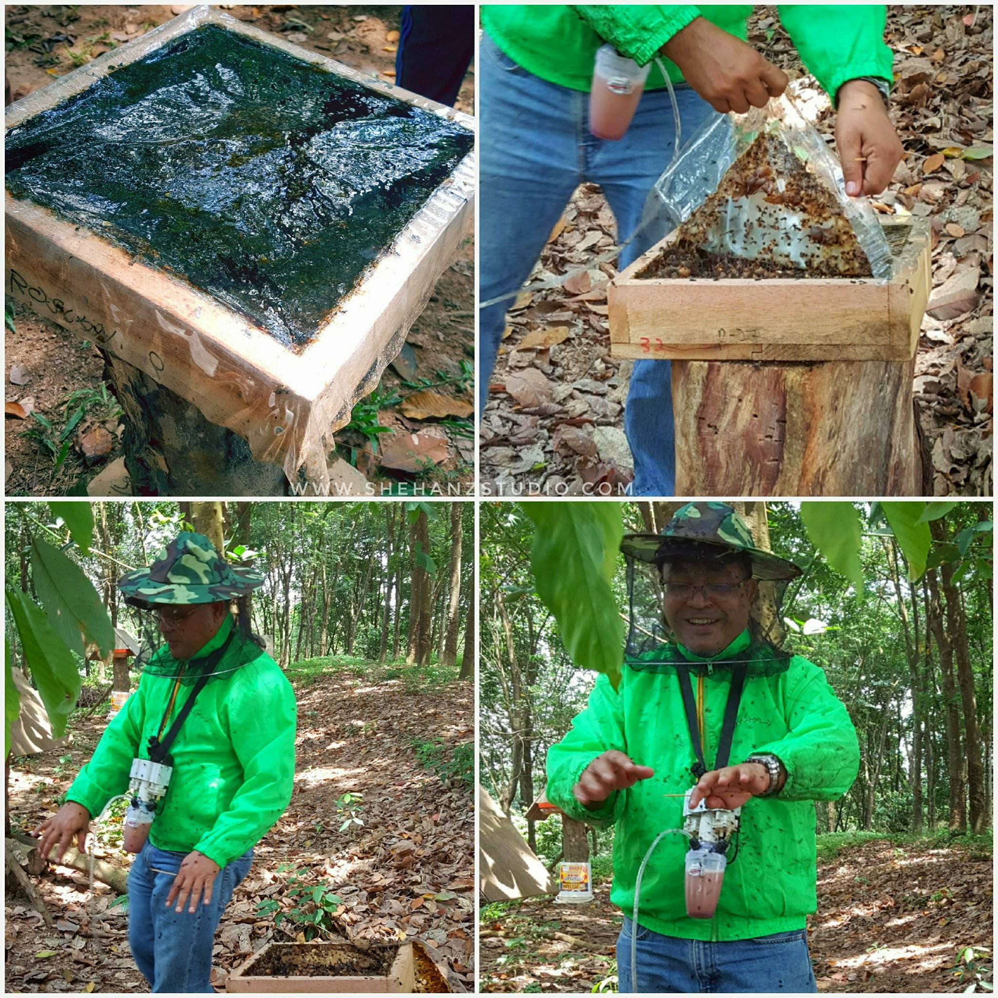DUSUN DALAM BANDAR - DUSUN TAMAN WARISAN PERTANIAN PUTRAJAYA (26)