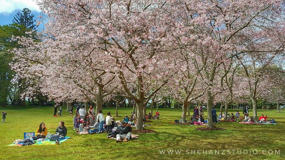 KEMBARA #KBBA9 COSMODERM – IKHLAS TOURS KE NEW ZEALAND - WHAKAPAPA SKIFIELD - WESTERN SPRINGS - CORNWALL PARK - ONE TREE HILL (PART 7) (3)