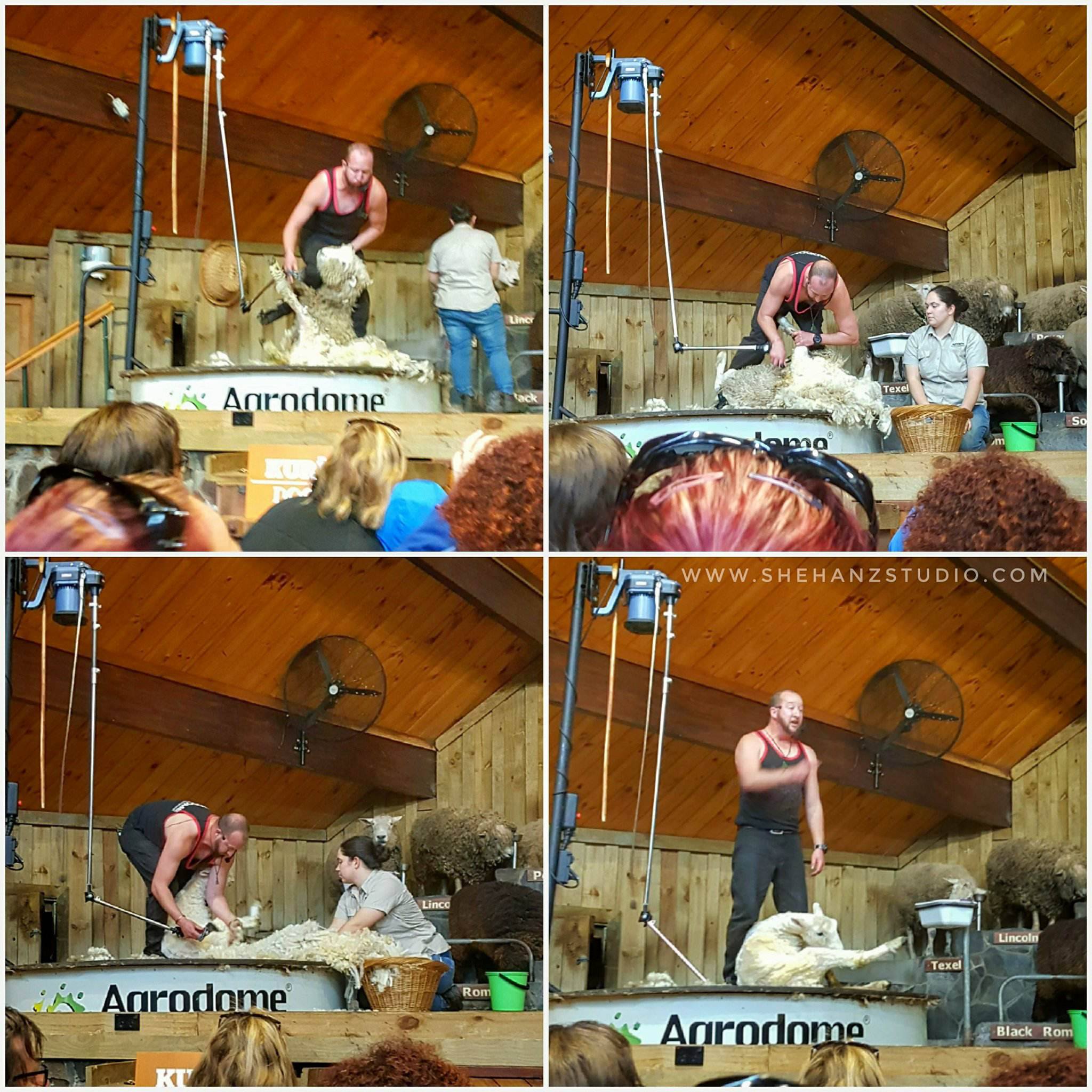 KEMBARA #KBBA9 COSMODERM - IKHLAS TOURS KE NEW ZEALAND BLUE LAKE, TARAWERA, AGRODOME AT ROTORUA (SPRING TIME) (PART 5) (1)