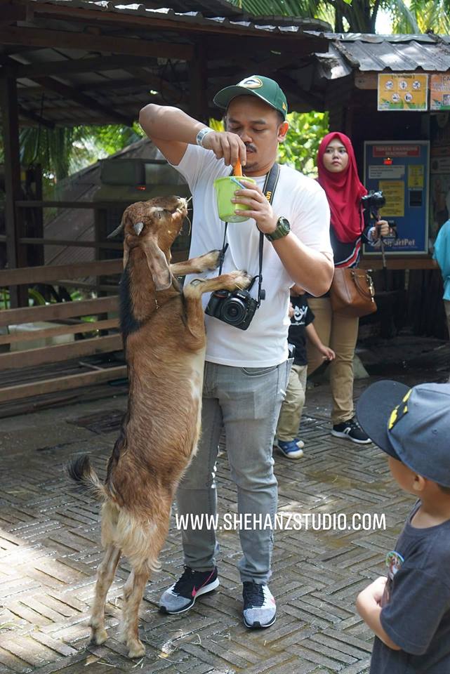 FARM IN THE CITY MALAYSIA, PETTING ZOO TERBAIK UNTUK ANAK-ANAK (32)