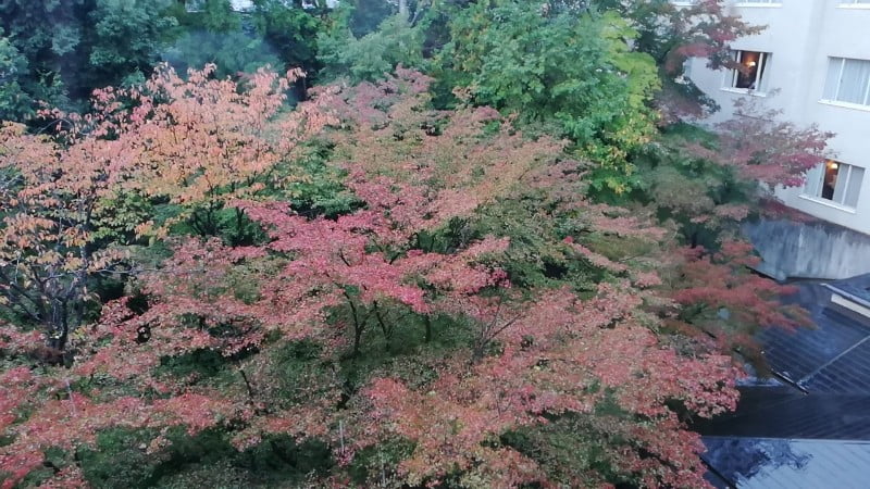THE WESTIN MIYAKO KYOTO JATUH CINTA DENGAN KYOTO – PART 4 KEMBARA #KBBA9 (162)