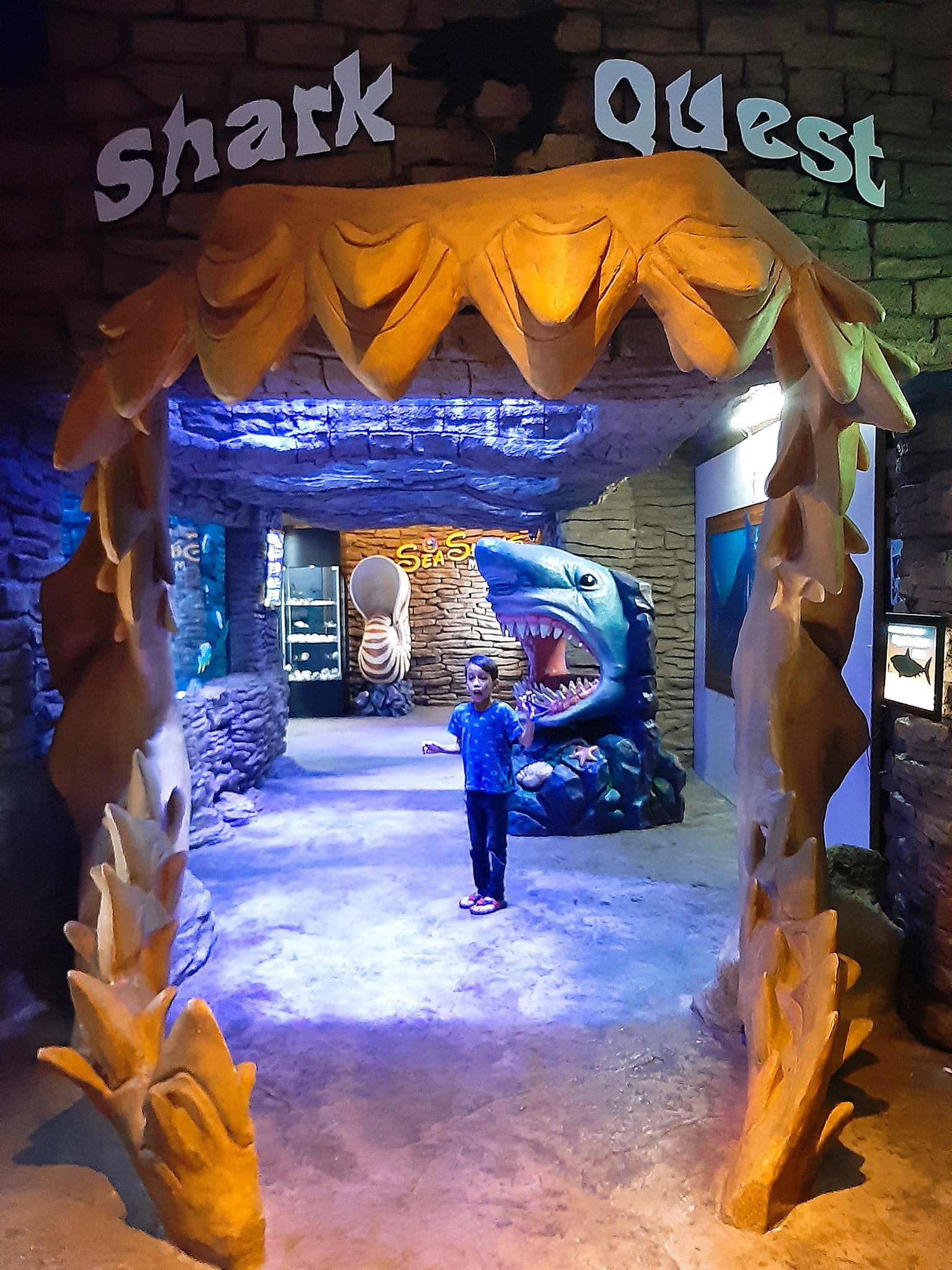 THE SHORE OCEANARIUM