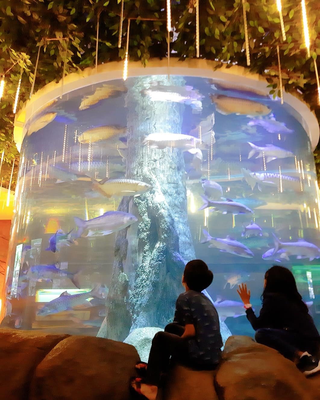 THE SHORE OCEANARIUM
