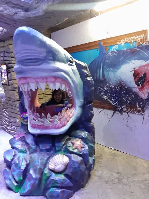 THE SHORE OCEANARIUM