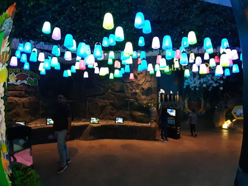 THE SHORE OCEANARIUM