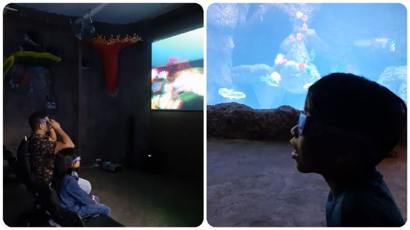 THE SHORE OCEANARIUM