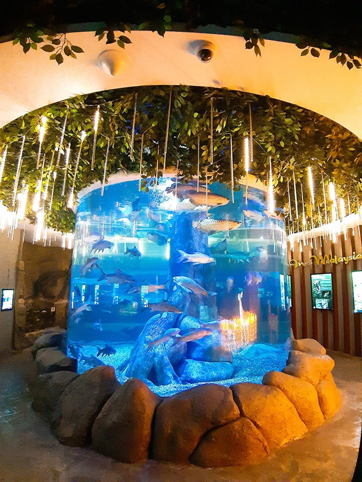 THE SHORE OCEANARIUM