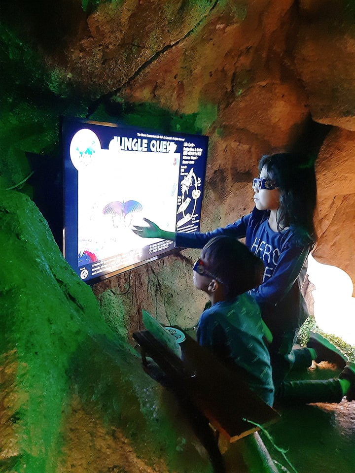 THE SHORE OCEANARIUM