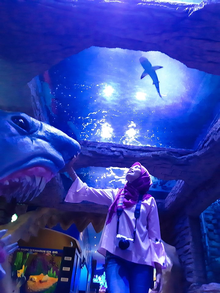 THE SHORE OCEANARIUM