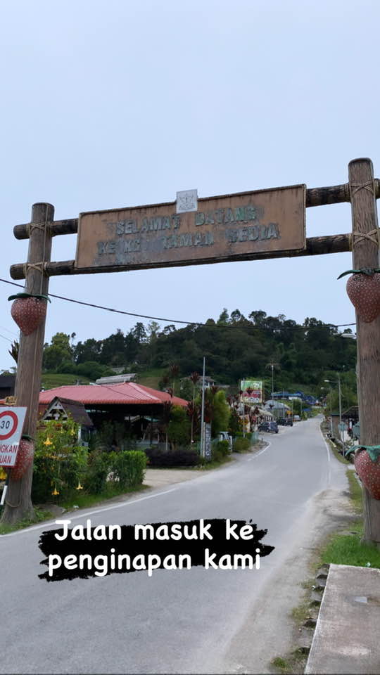 THE SHEEP SANCTUARY