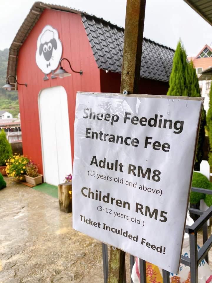 THE SHEEP SANCTUARY