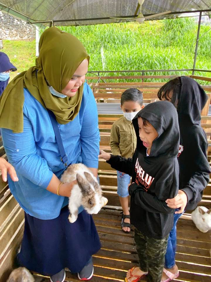 THE SHEEP SANCTUARY