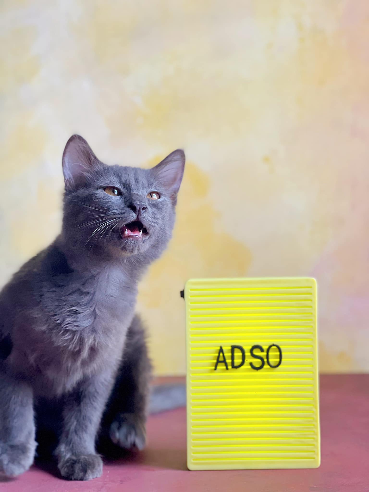 adso