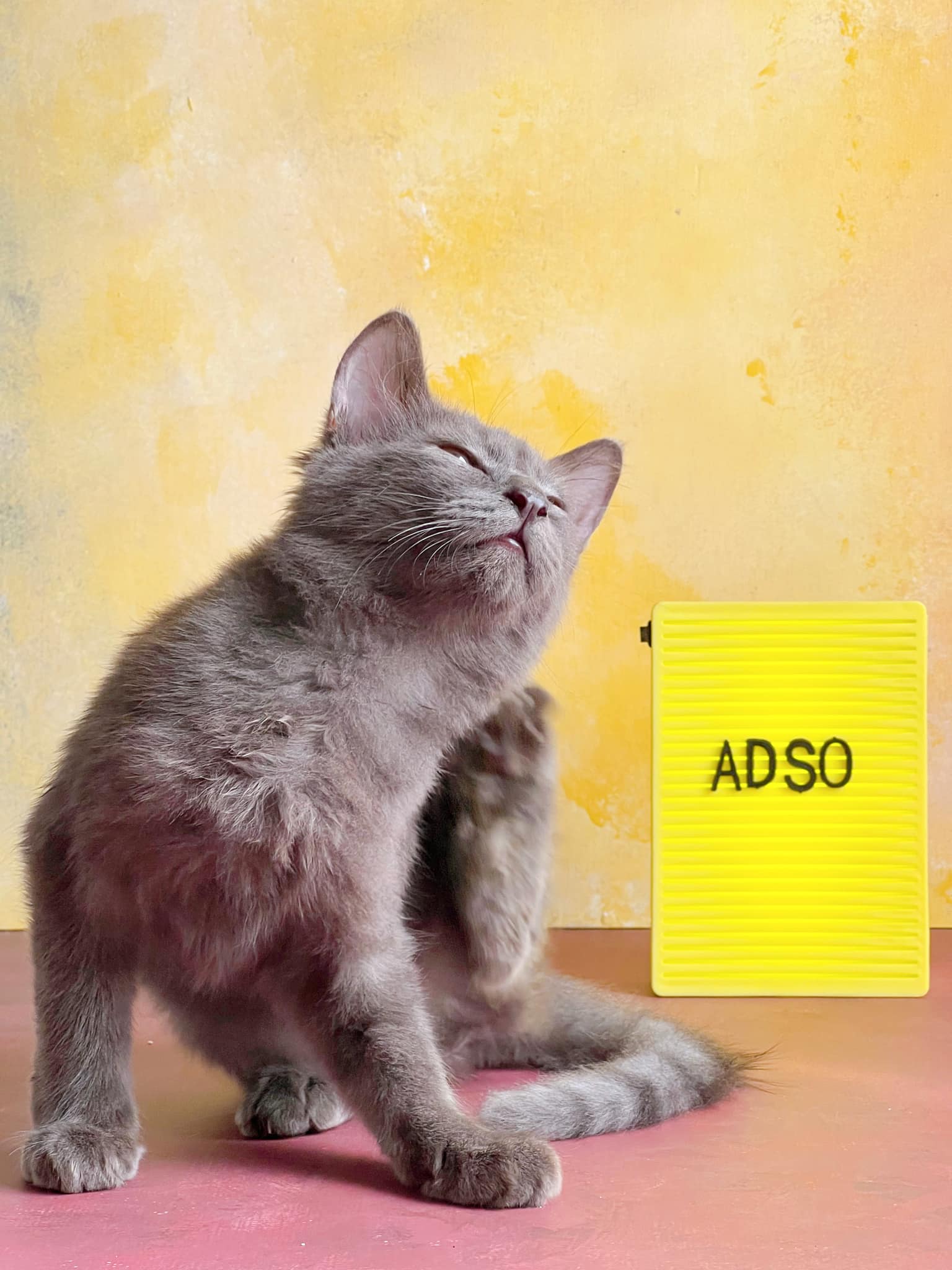 adso