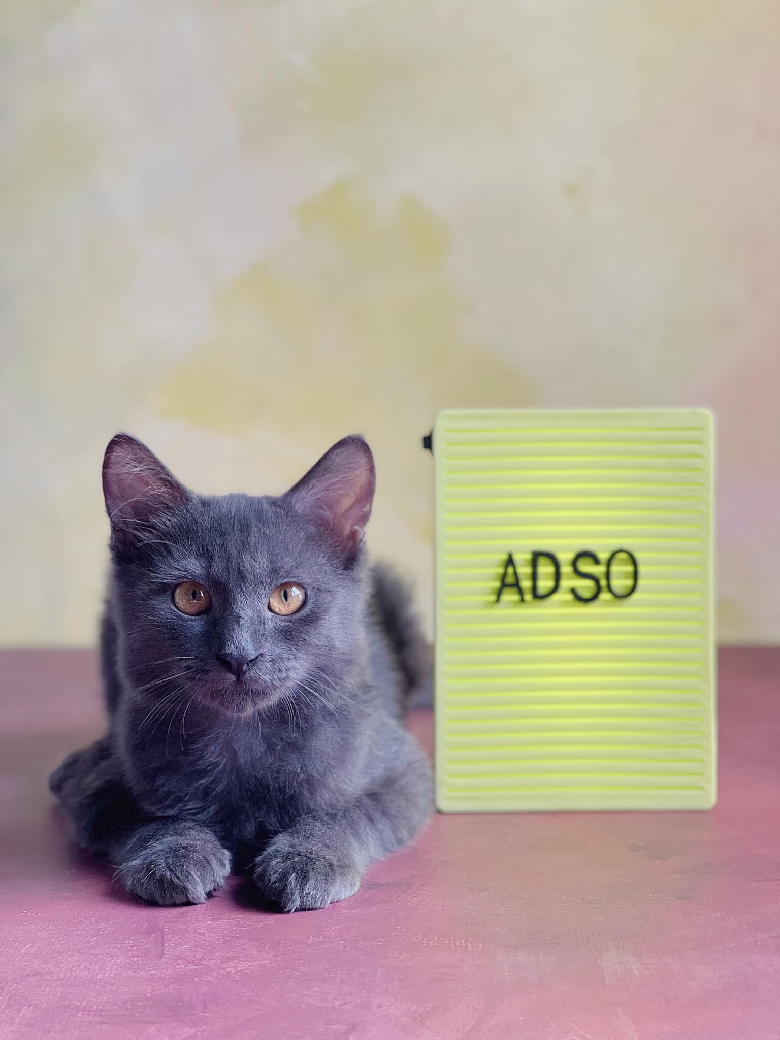 adso