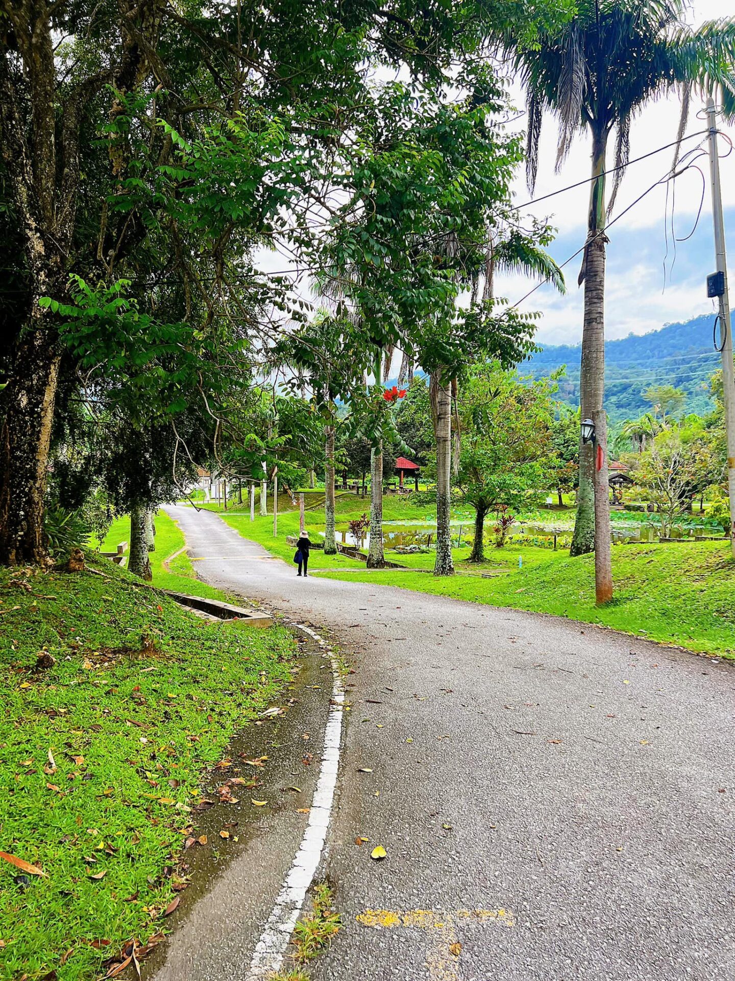FELDA RESIDENCE HOT SPRINGS