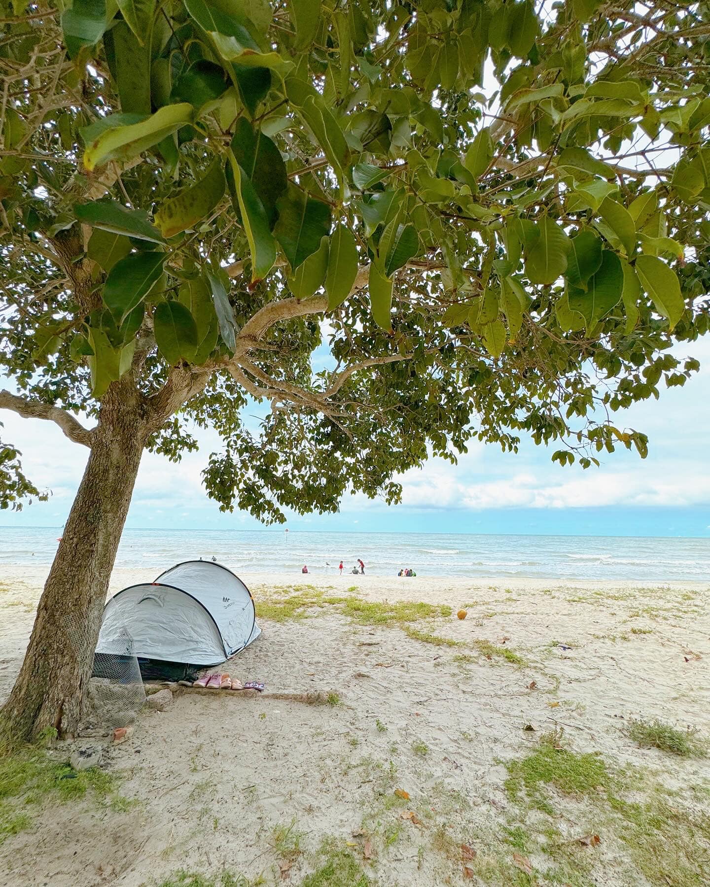 pengalaman pertama camping