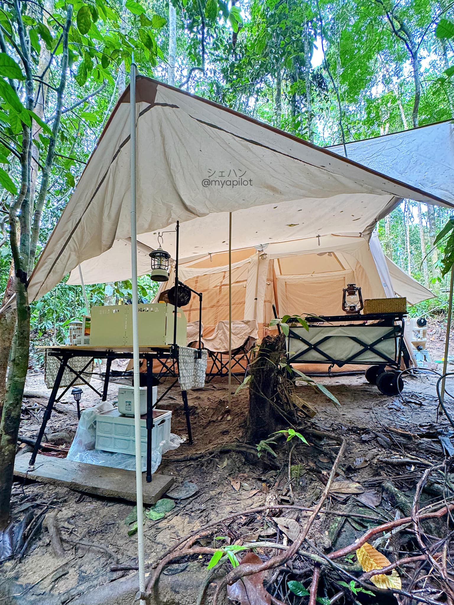 CAMPING DI TUPAI EMAS