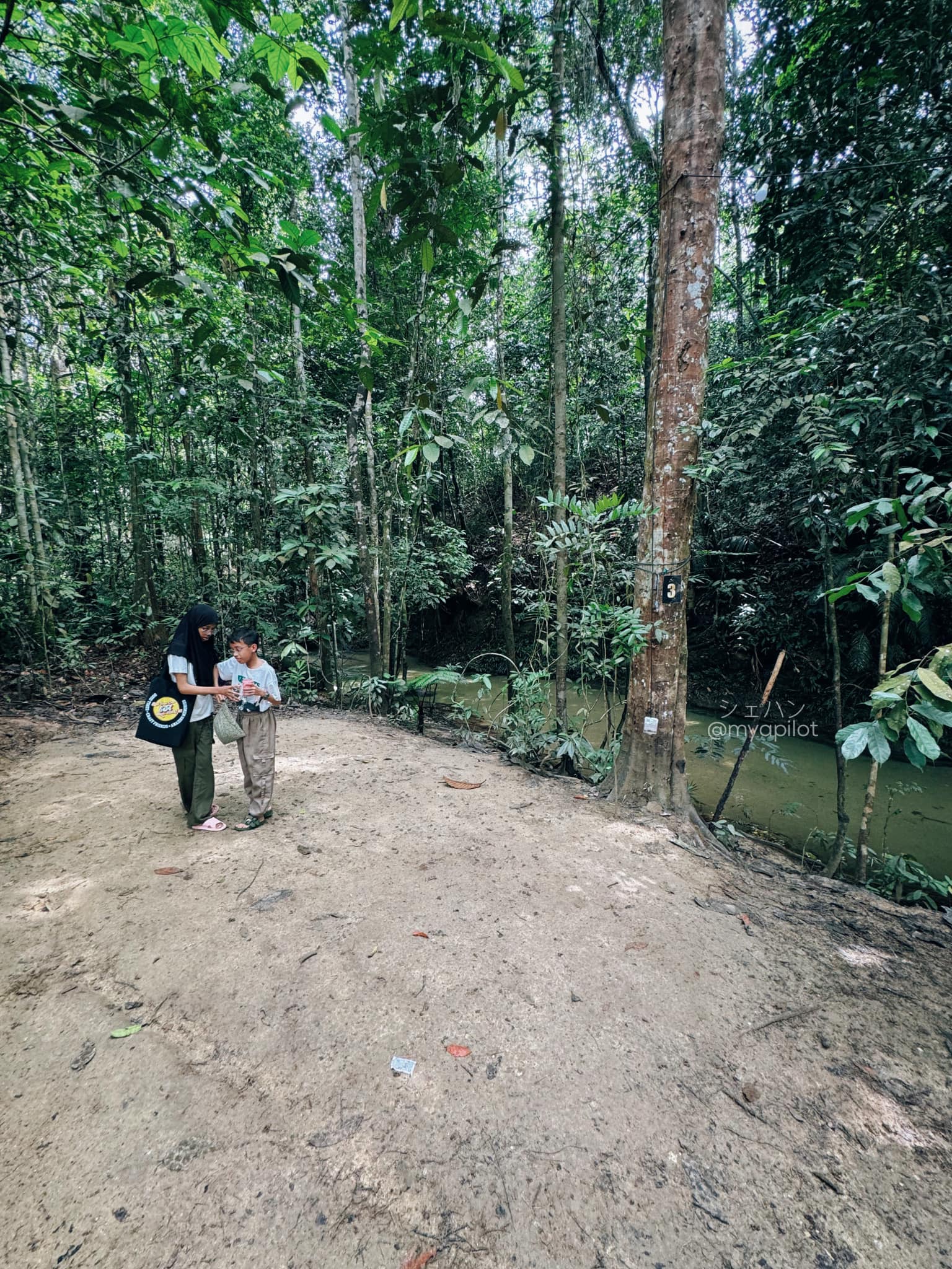CAMPING DI TUPAI EMAS