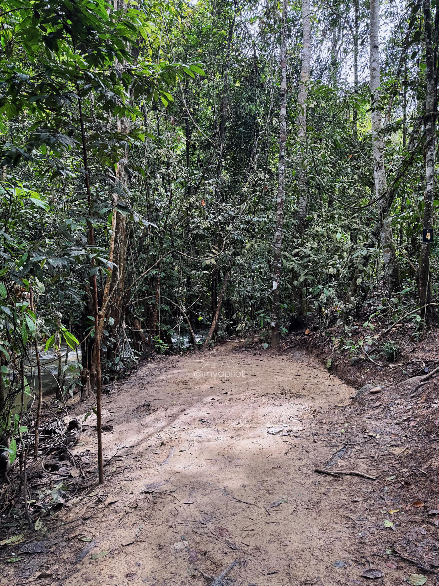 CAMPING DI TUPAI EMAS
