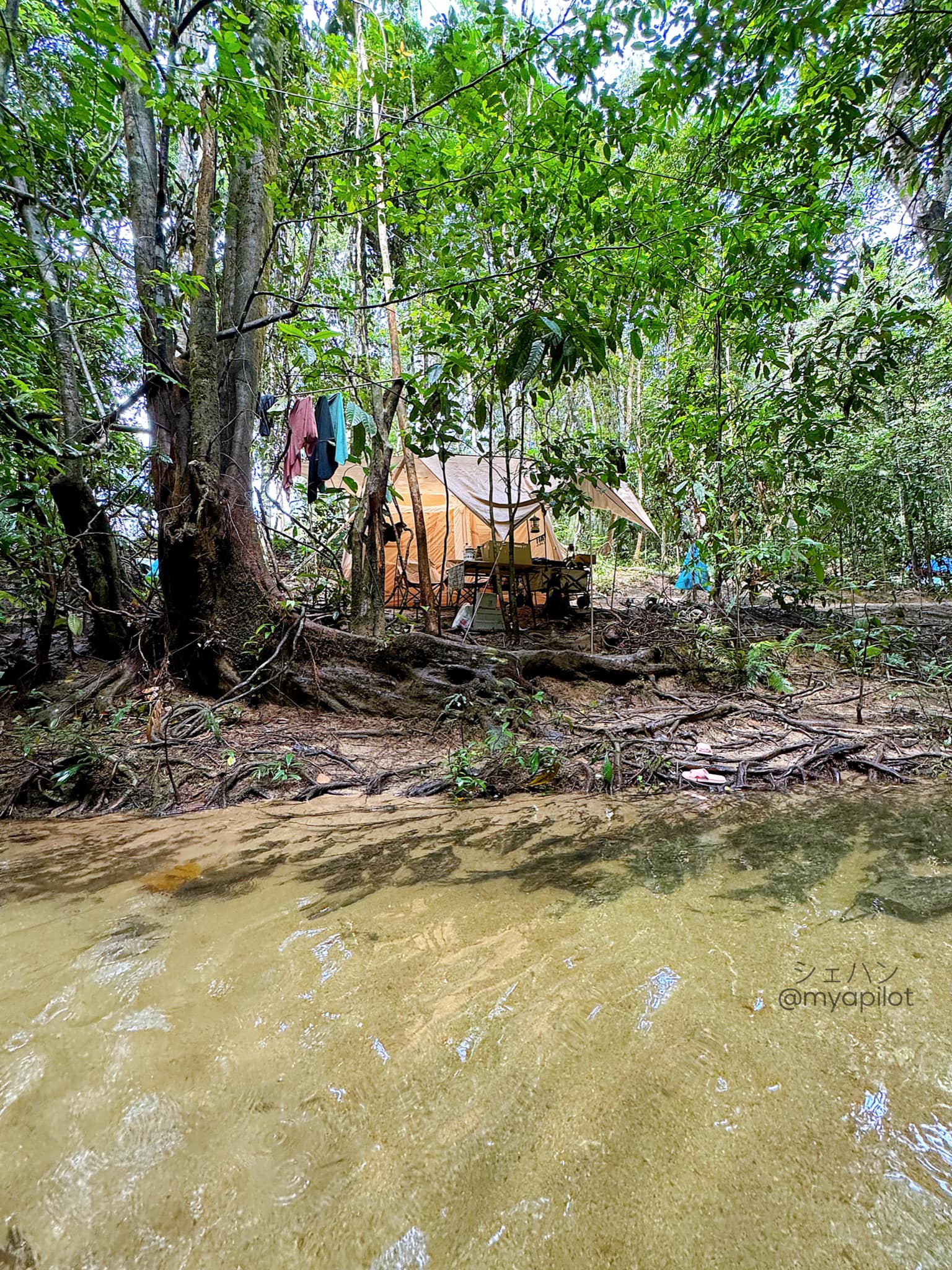 CAMPING DI TUPAI EMAS