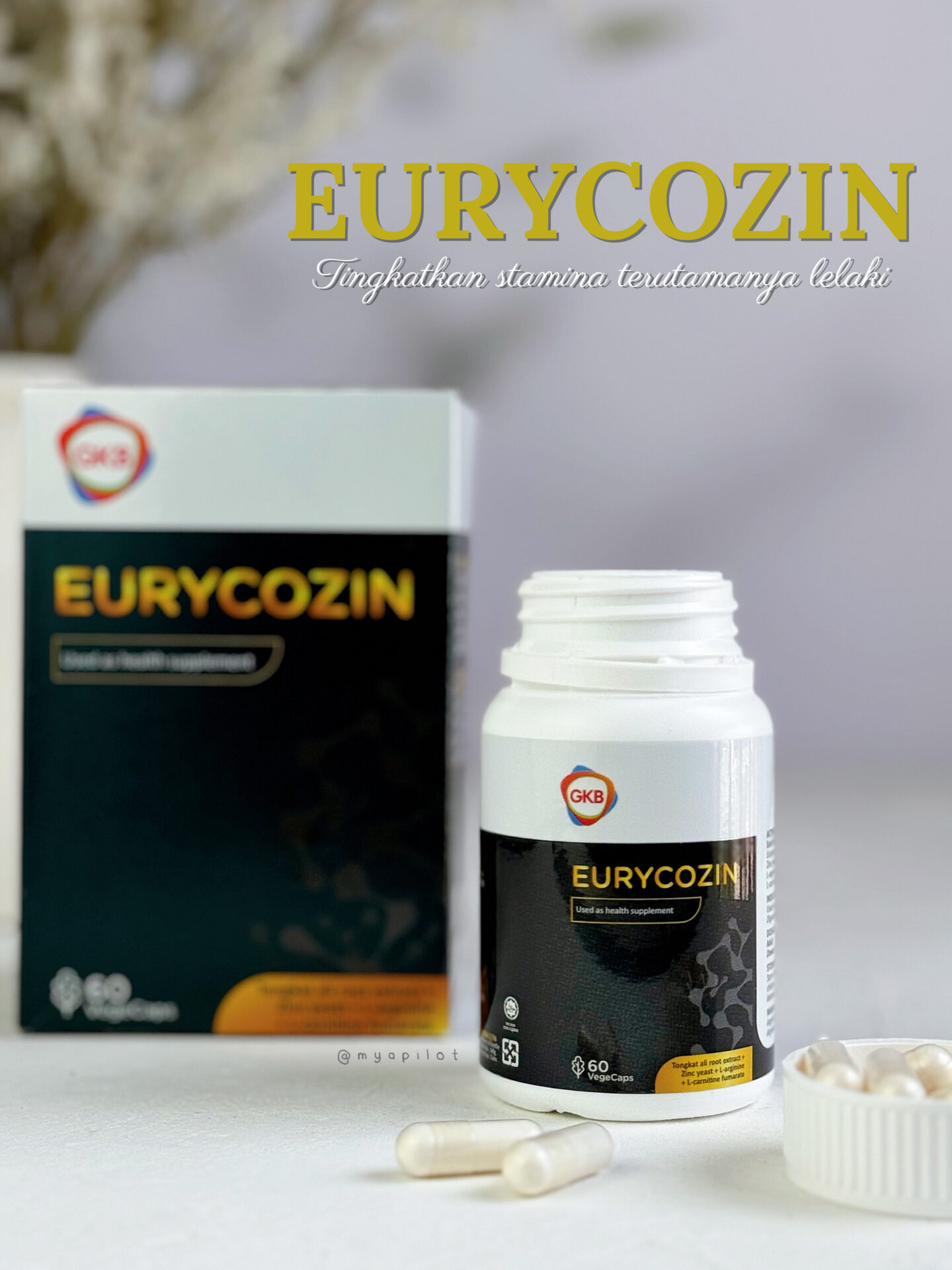 ANTRODIA DAN EURYCOZIN