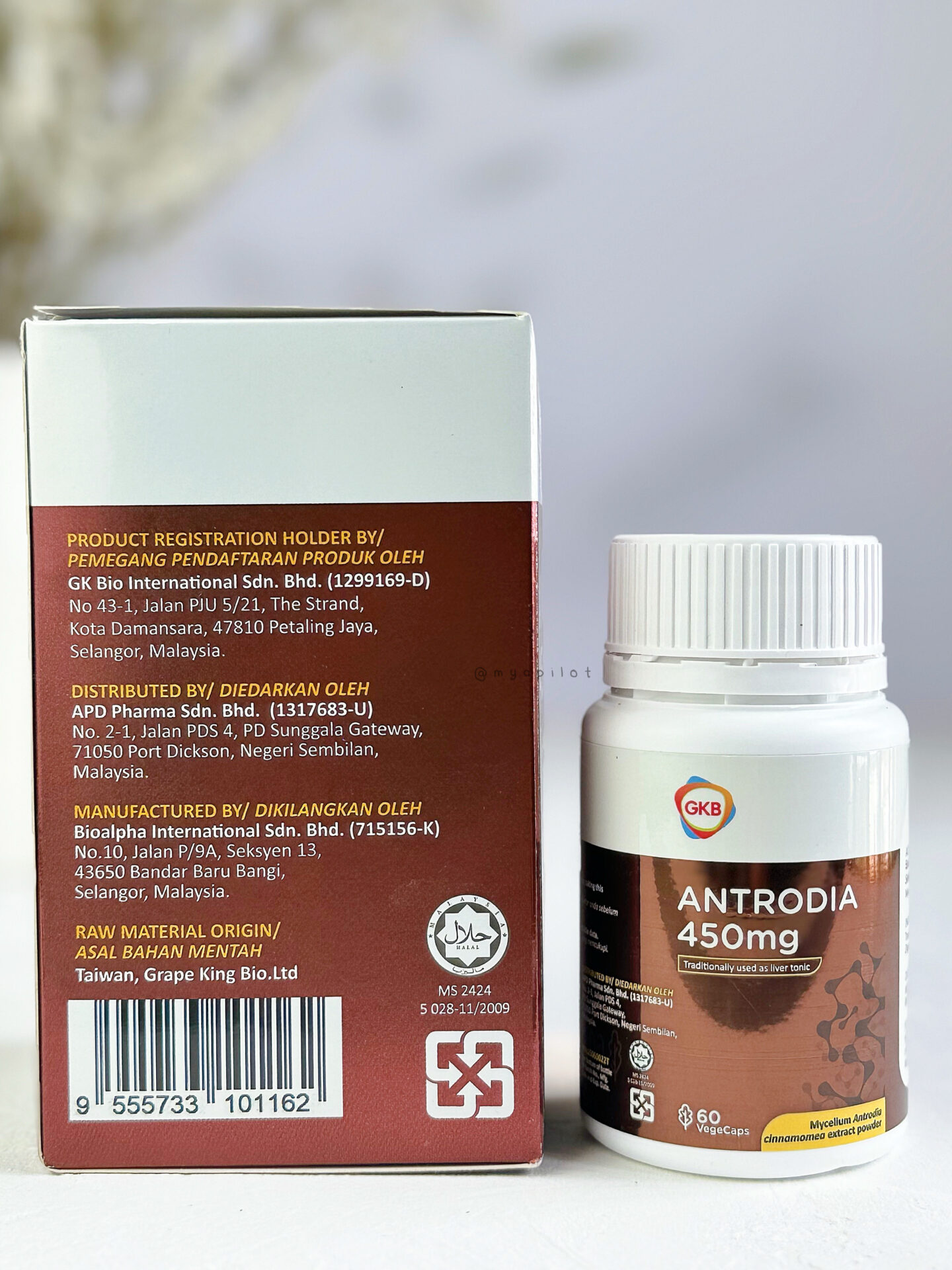ANTRODIA DAN EURYCOZIN