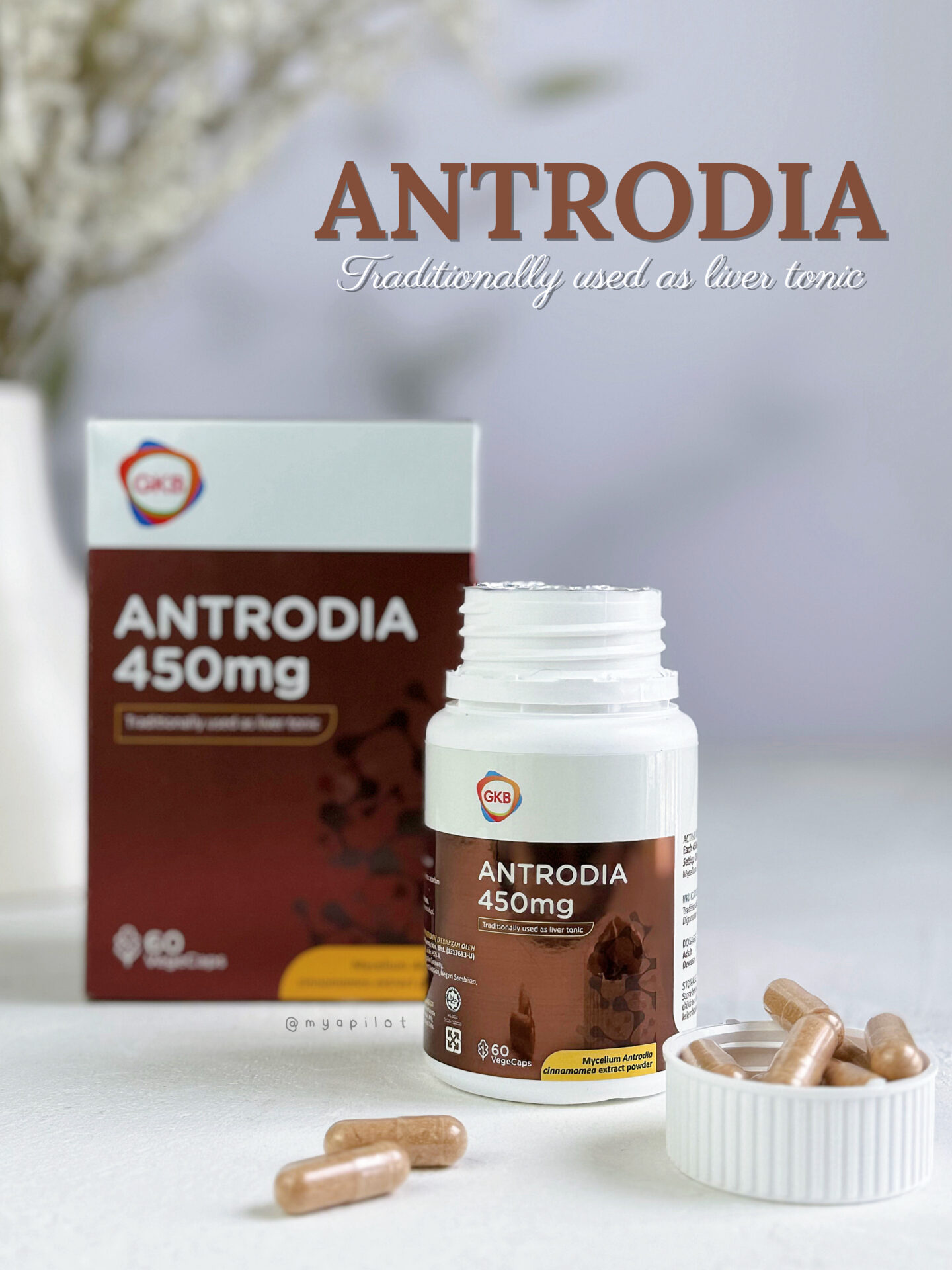 ANTRODIA DAN EURYCOZIN