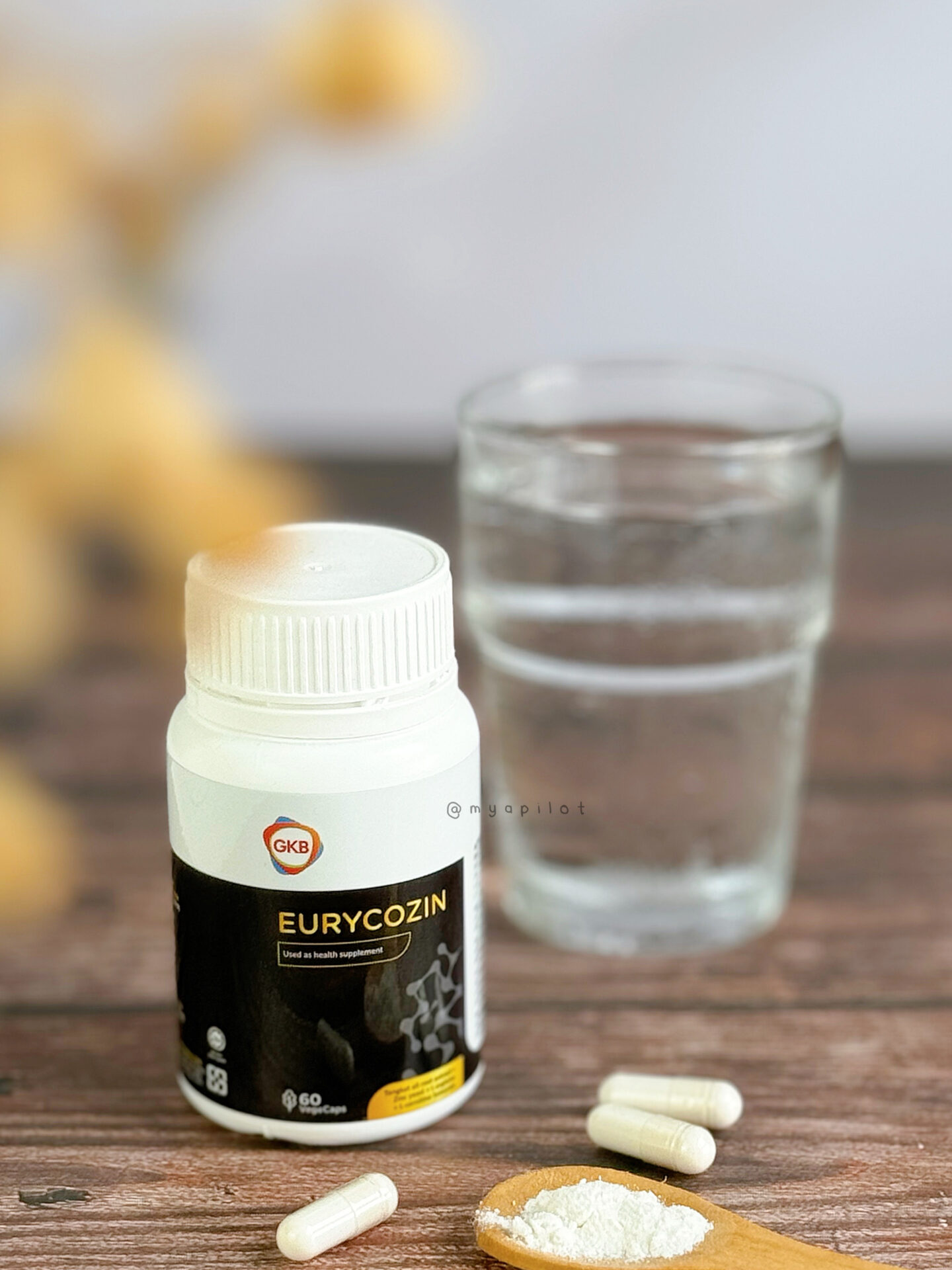 ANTRODIA DAN EURYCOZIN
